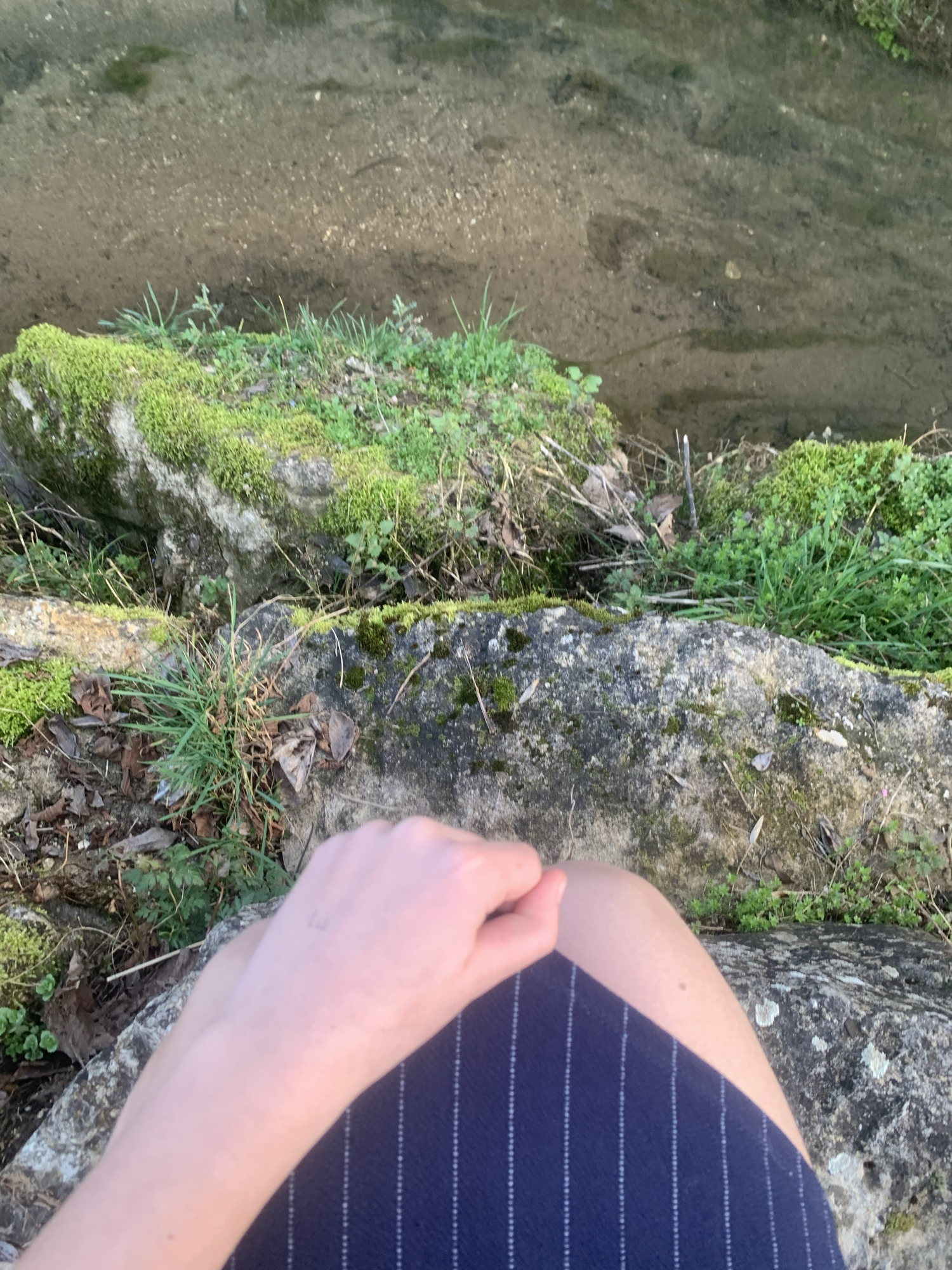 Toga — photo 10