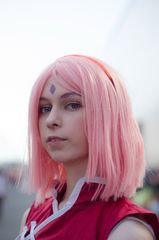 Sakura preview 2