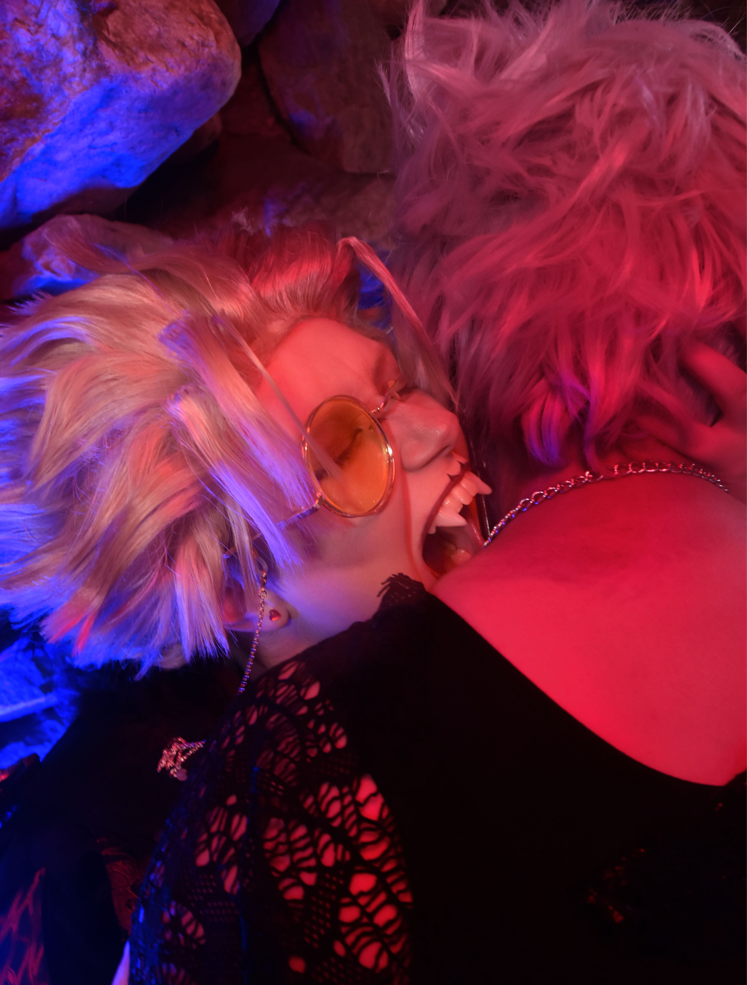 Vampire Hawks, photo 11