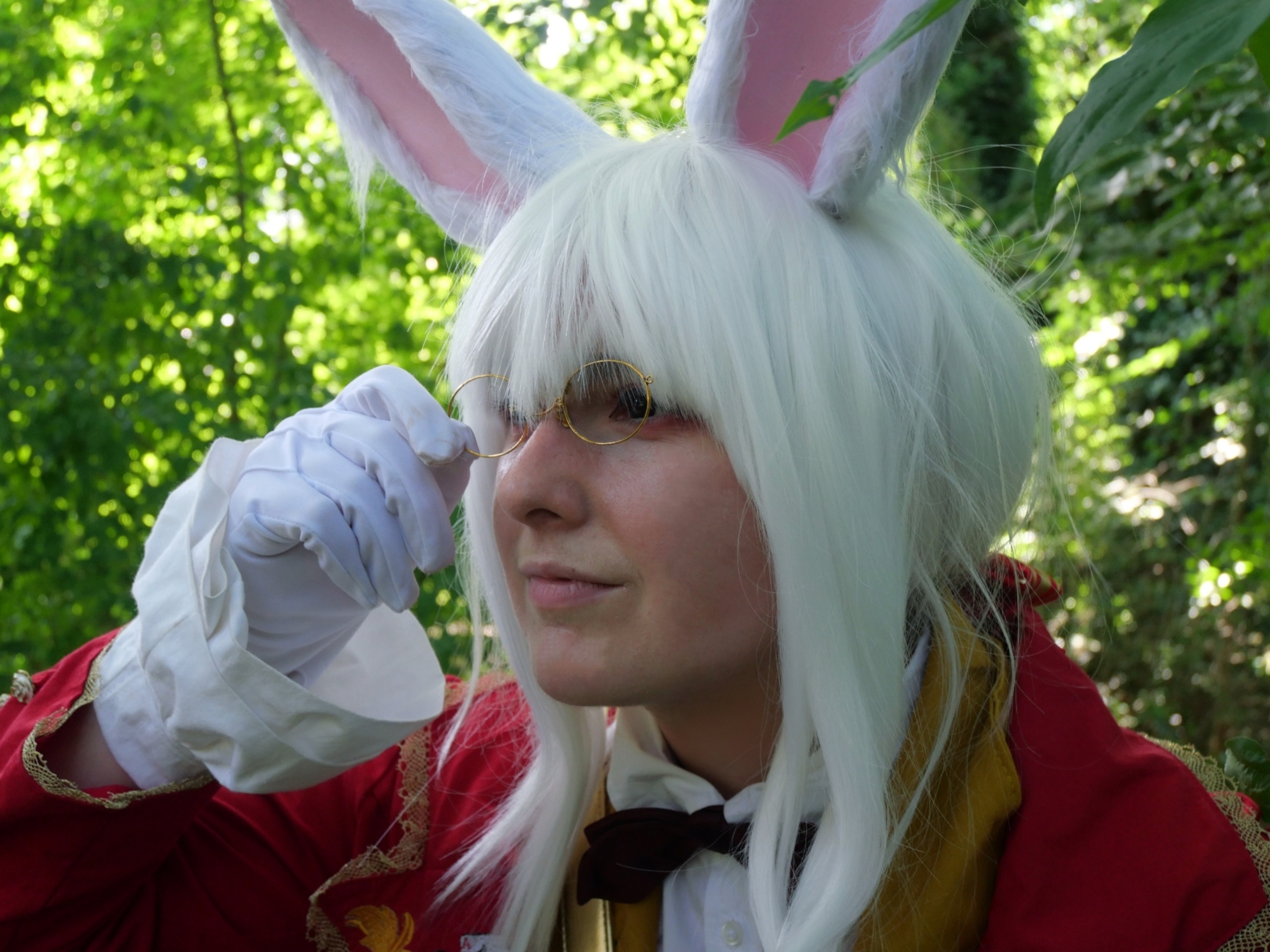 Lapin blanc d'Alice — photo 7