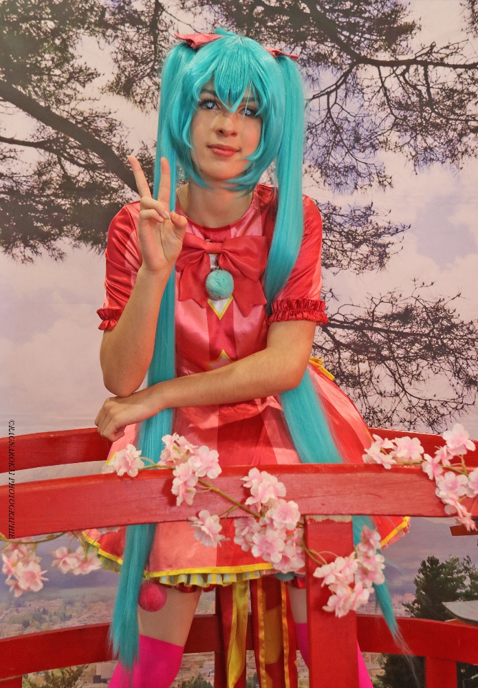 Miku wxs — photo 13