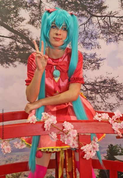 Hotaru - Miku wxs