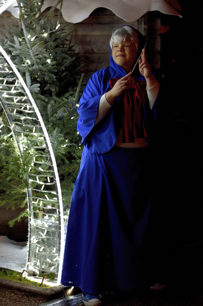 Marraine Cendrillon  - Photo 2