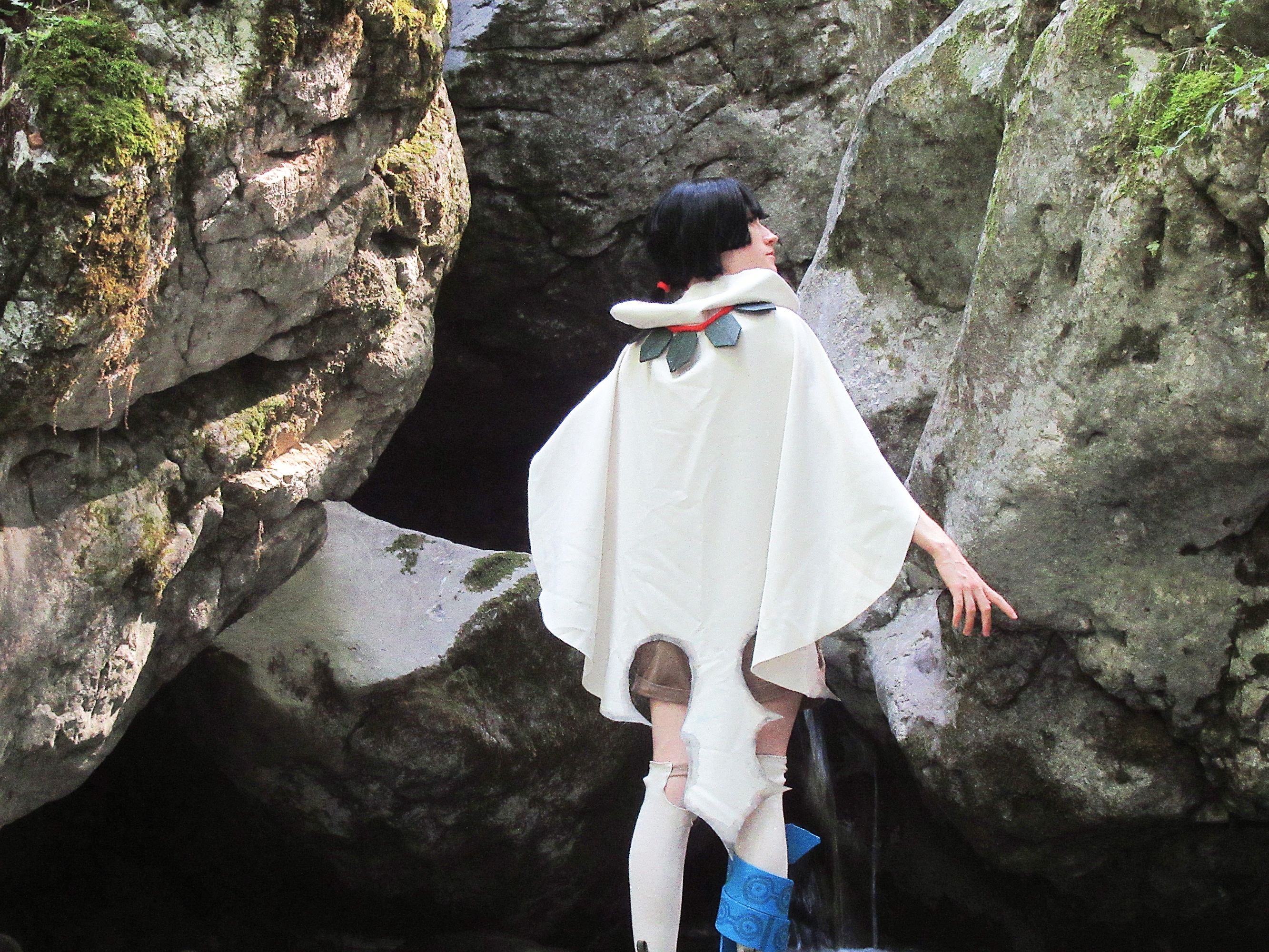 Amaryllis P1 — photo 15