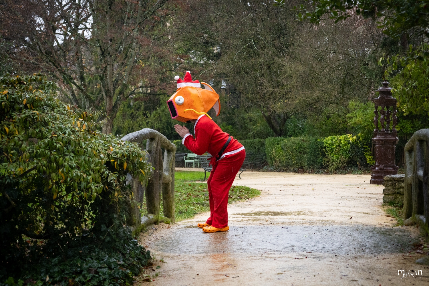 A l'approche de Noël - Photo 8