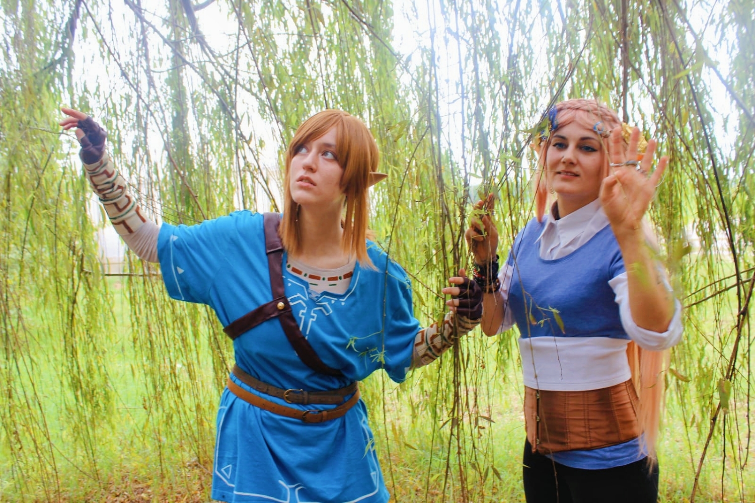 Link (Botw) - Photo 14