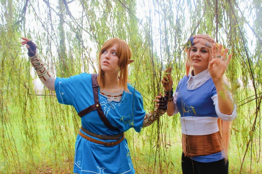 Lhyliart - Link (Botw)