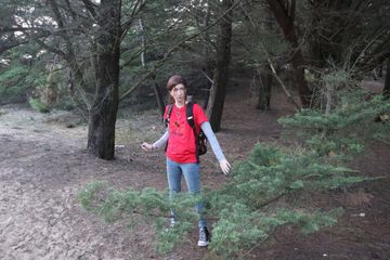 Ellie TLOU forest preview 2