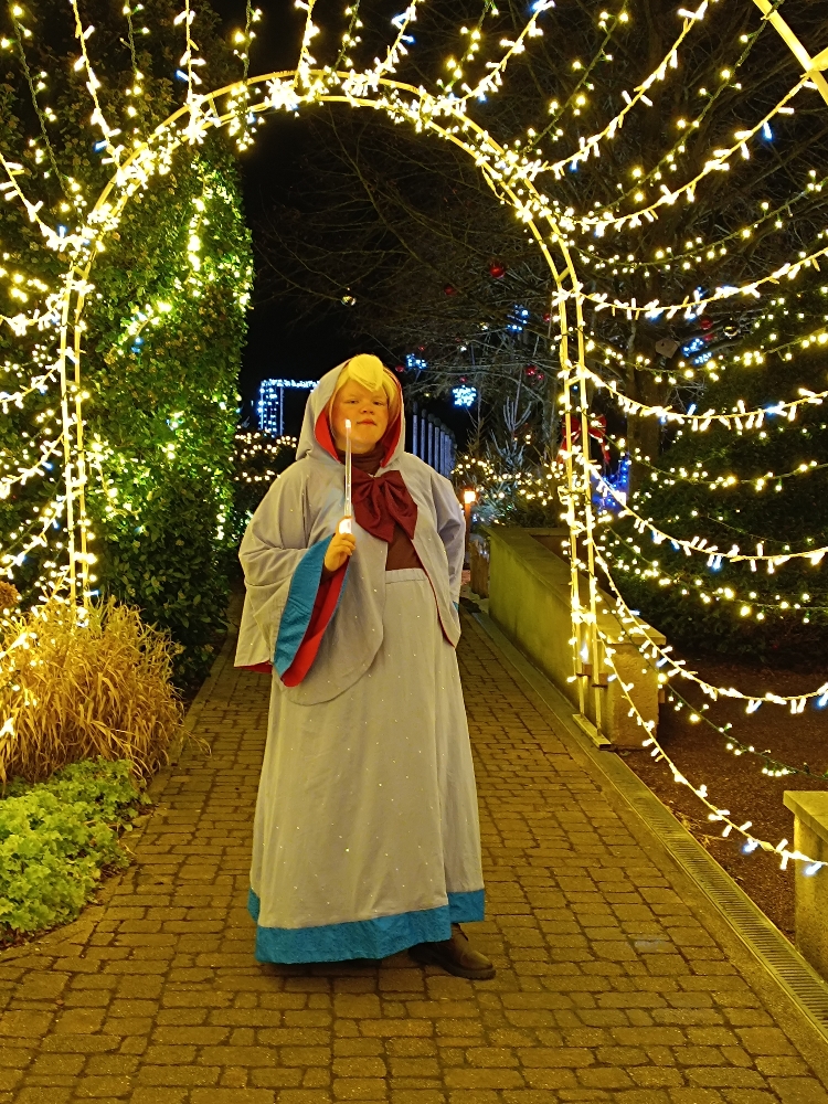 Bonne fée de Noël — photo 21