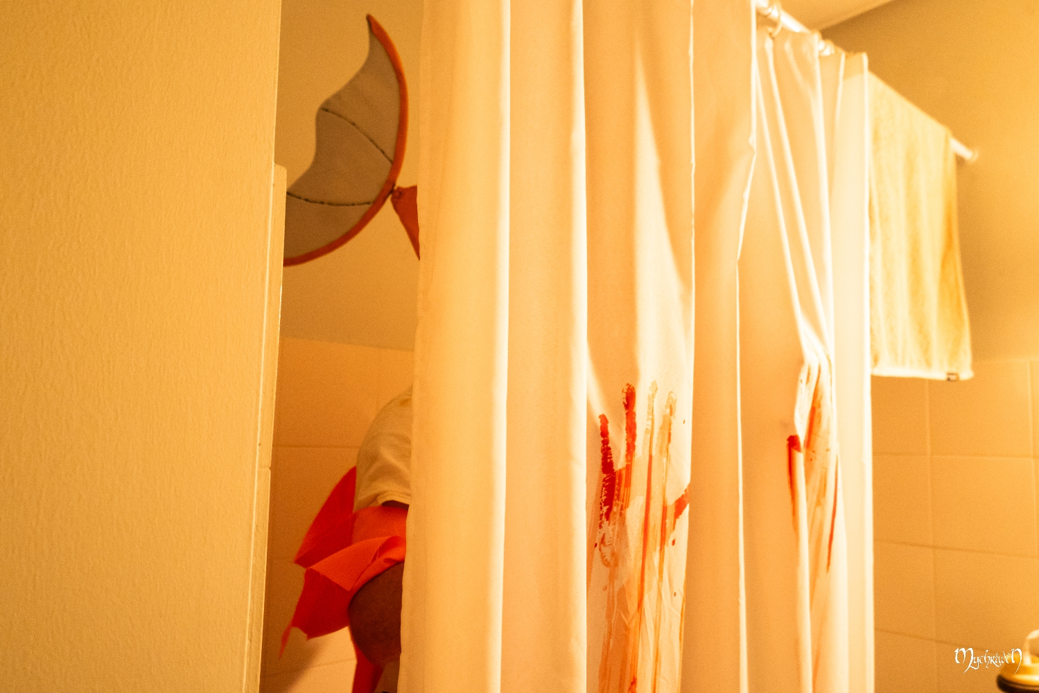 Gare à Pict'Asia - Photo 10