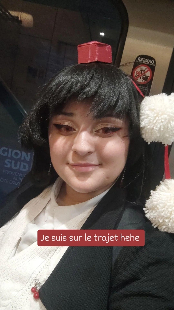 Aya shameimaru  - Photo 3