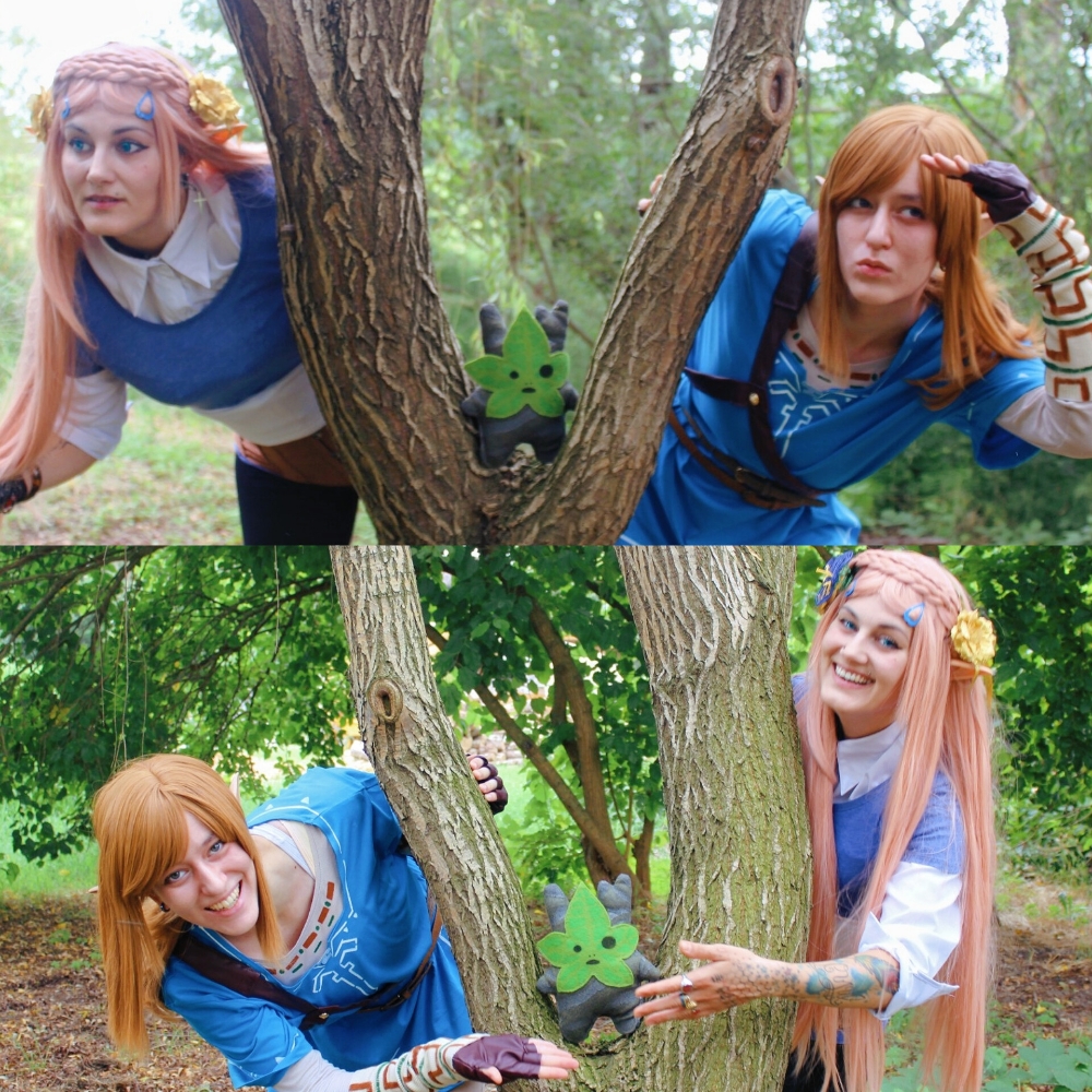 Link (Botw) - Photo 28