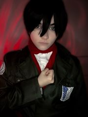 Mikasa Ackerman preview 2