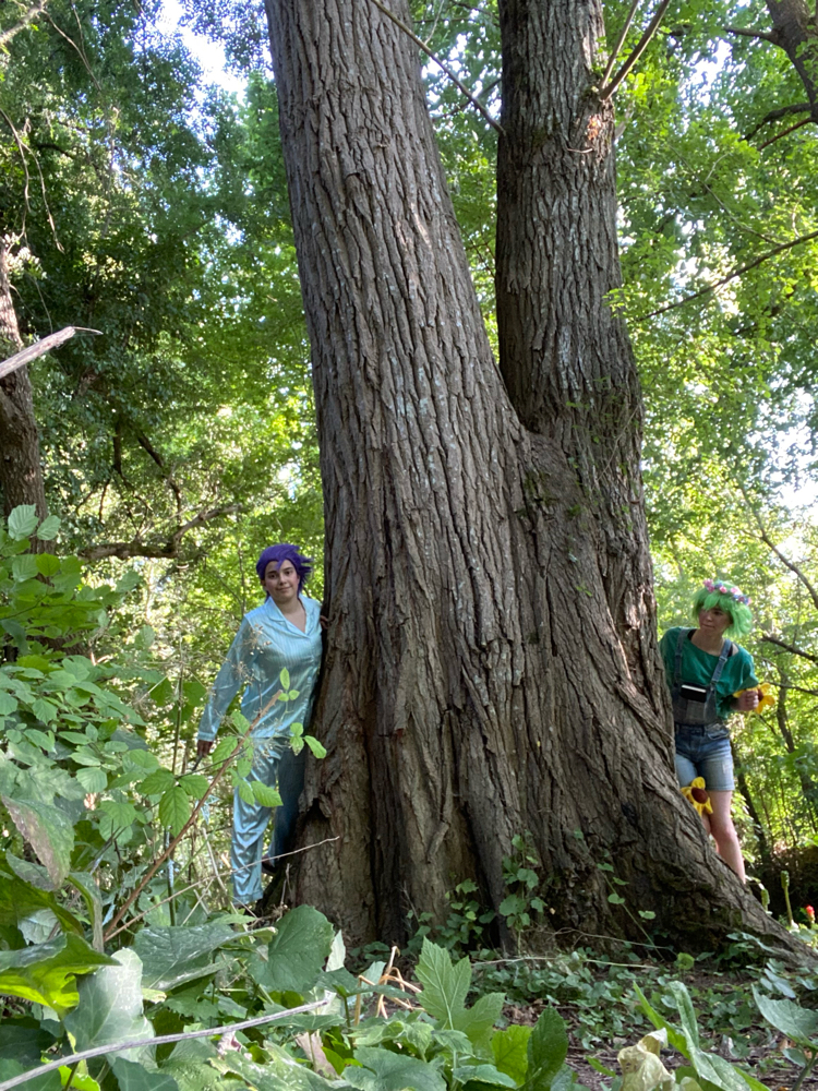 Shooting post Japan expo  - Photo 3