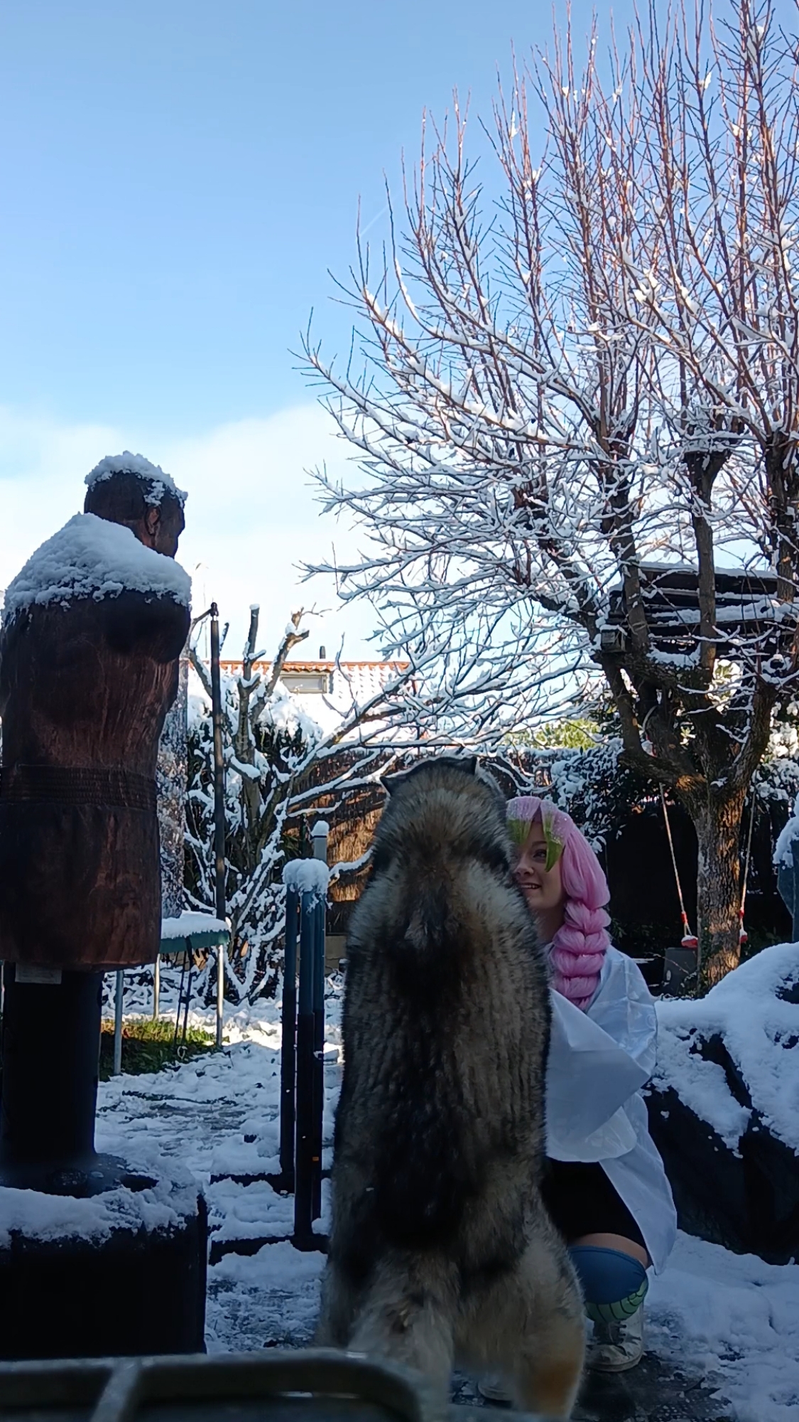 Mitsuri Kanroji - Photo 23