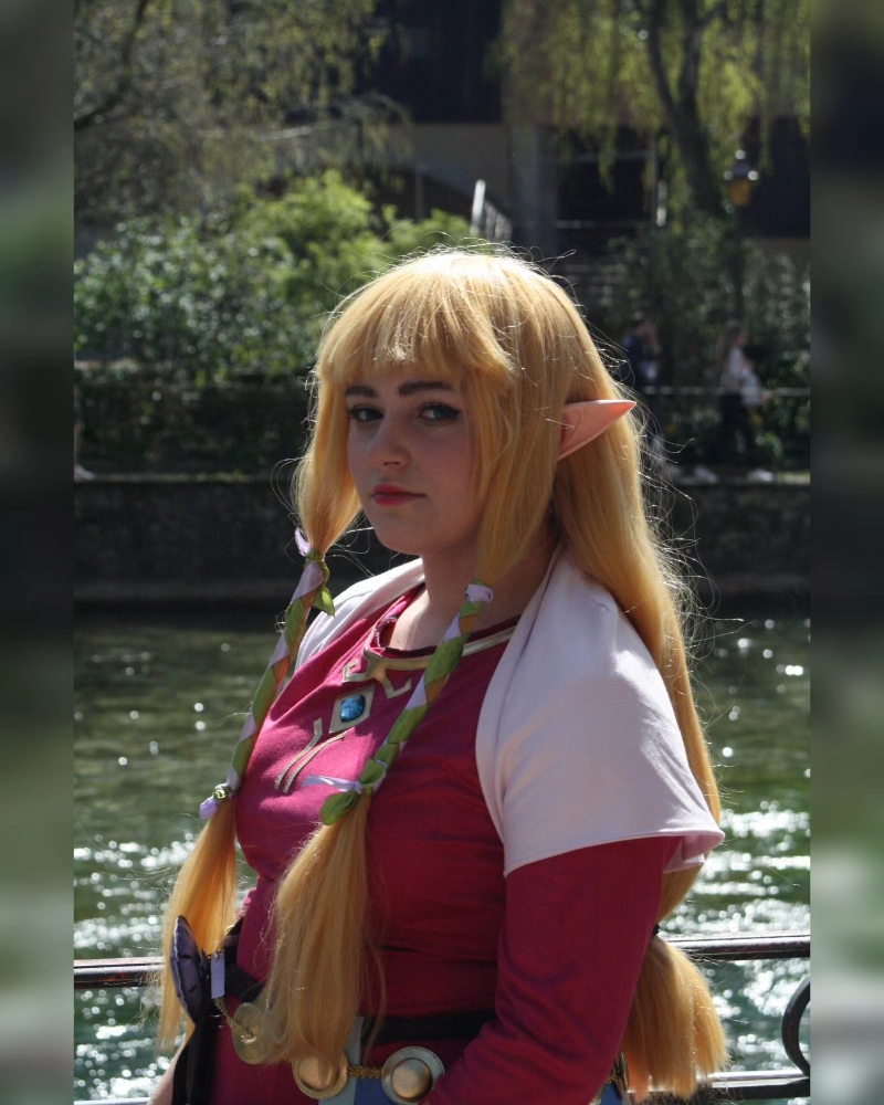 Zelda Skyward Sword — photo 8