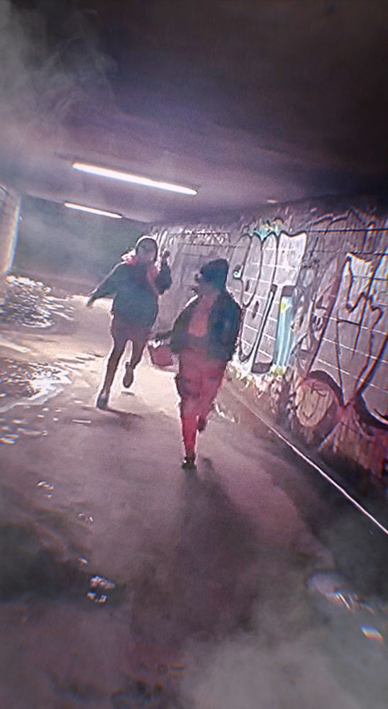 Dbd — photo 5
