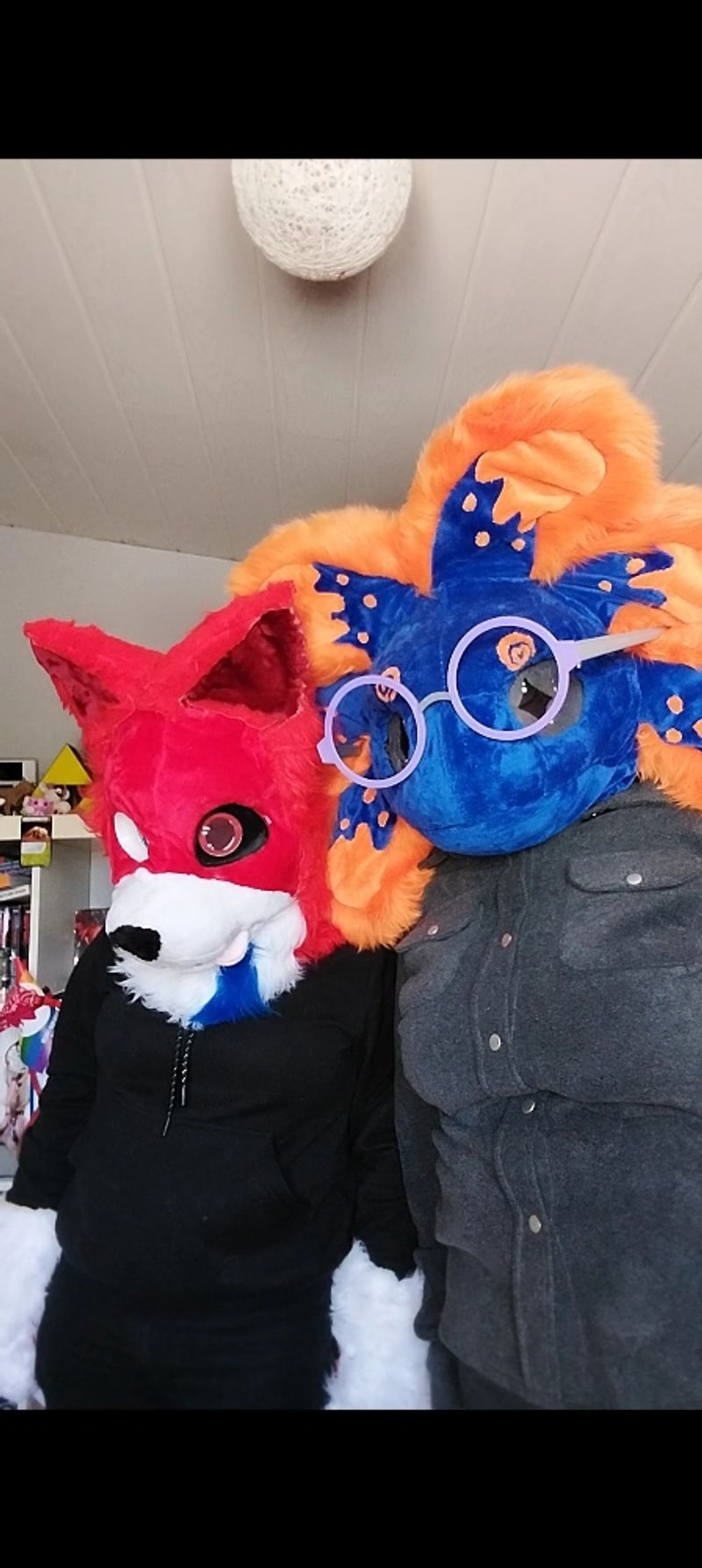 Nocturnes.water – Stellar et Rød Ulva