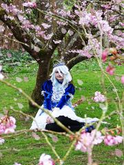 Furina Hanami preview 2