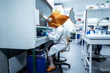 Professor Magicarpe preview 3