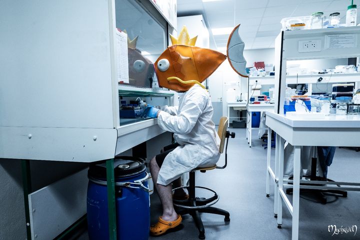 Professor Magicarpe
