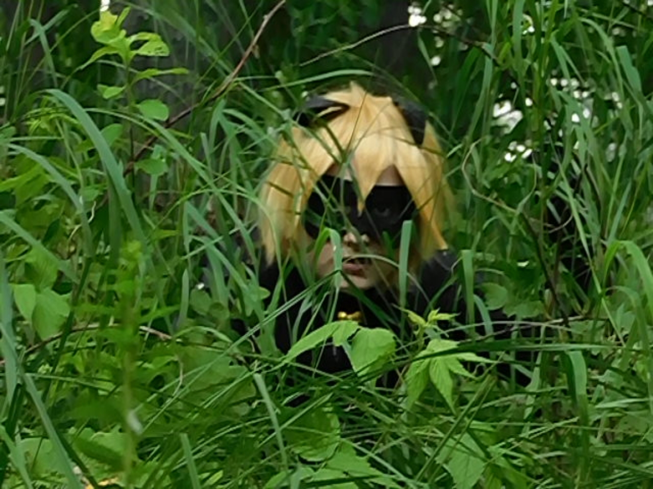 Chat Noir - Photo 30