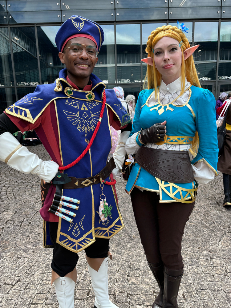 Link royal guard — photo 5