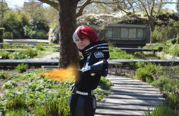Shoto todoroki preview 2