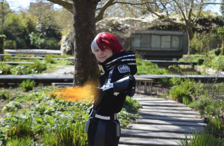 Shoto todoroki
