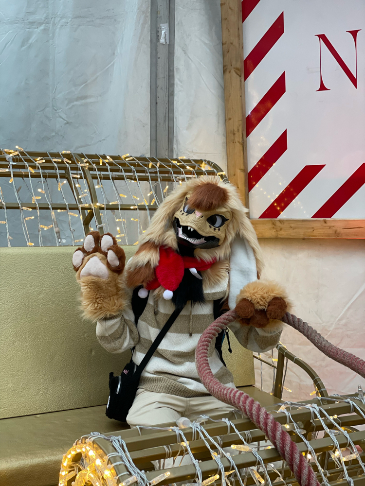 Photos Tapioca - Photo 10