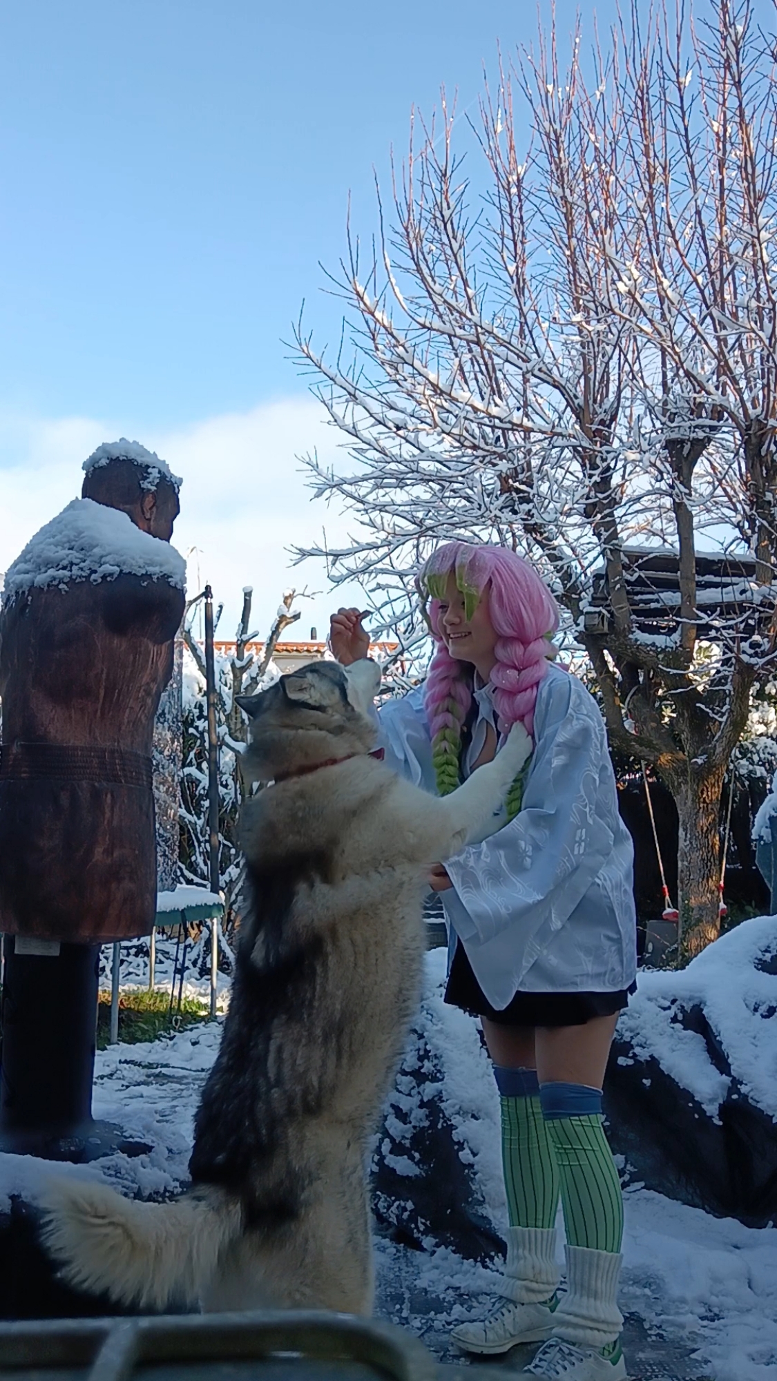 Mitsuri Kanroji - Photo 29