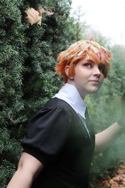 Sylverius_cos - Zircon