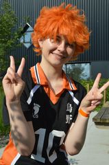 Hinata Shoyo preview 2