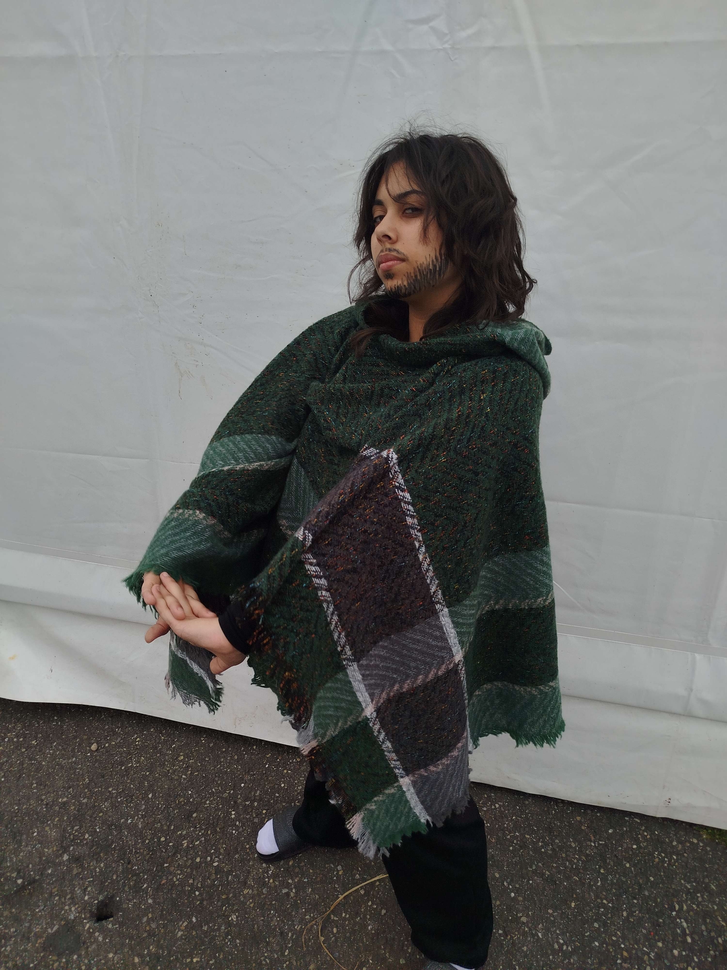 Bruno — photo 10