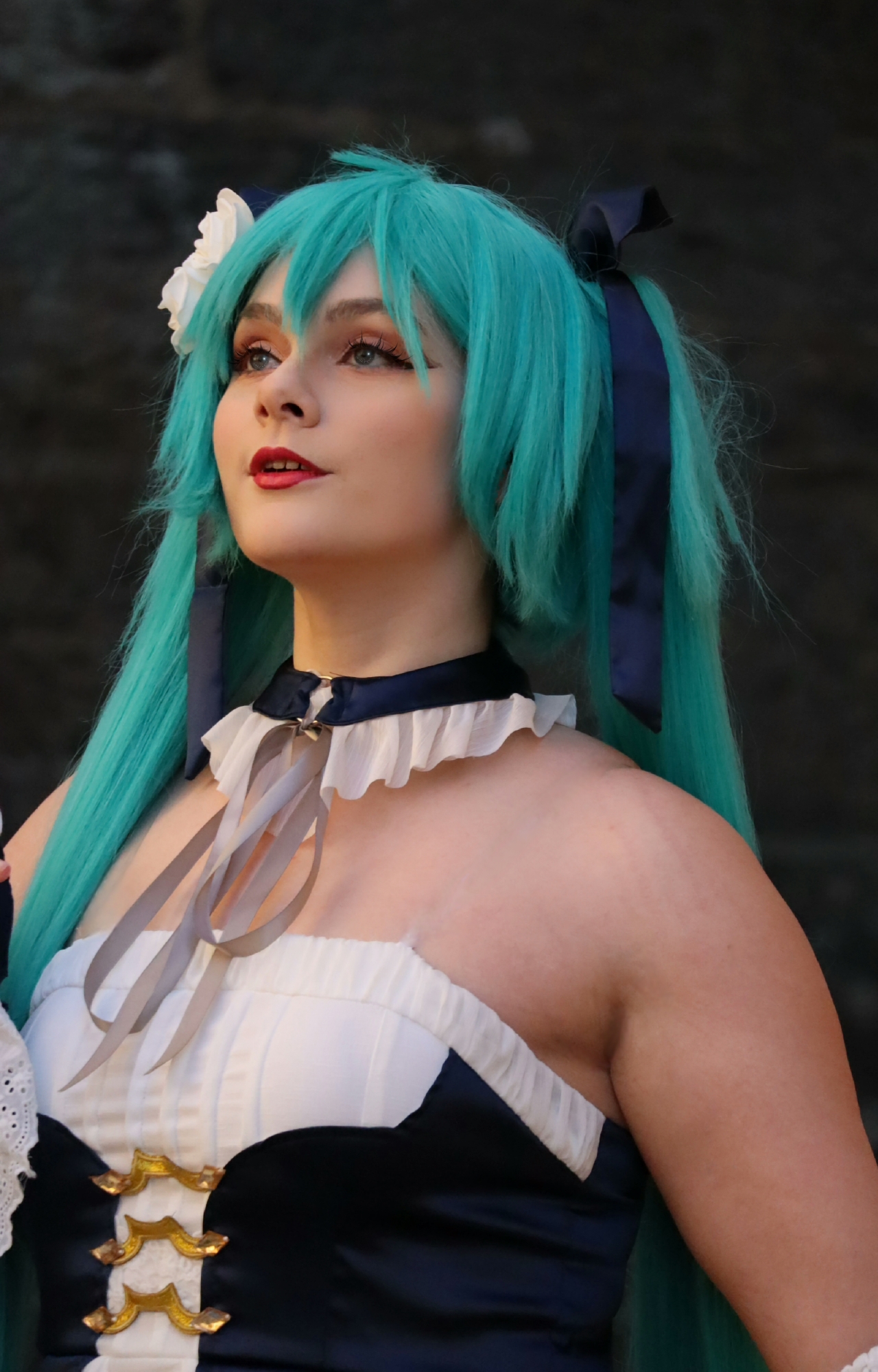 Hatsune miku bal — photo 14