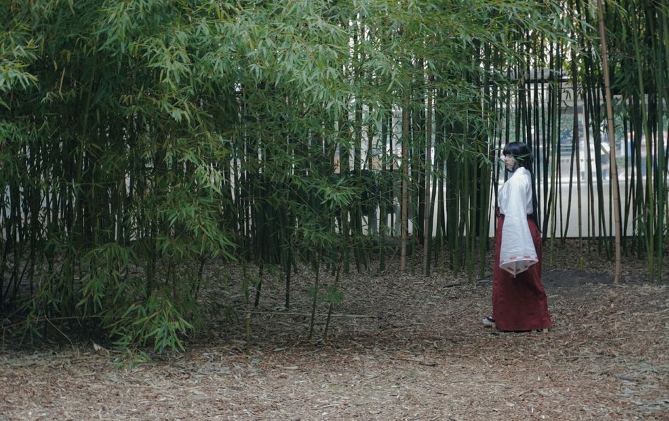 Suwa - Kikyo