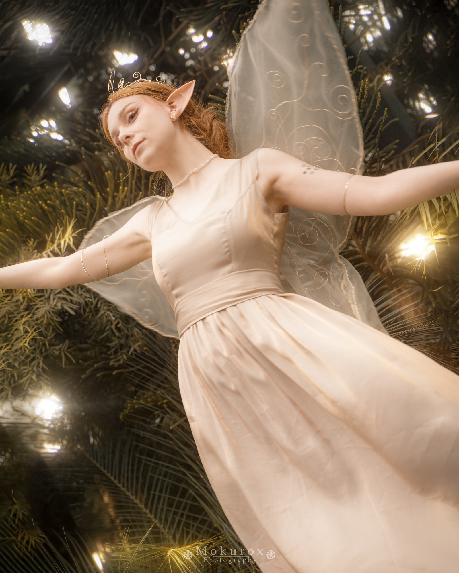 Reine Clarion - Photo 2