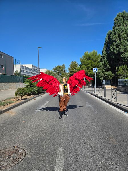 Marie_co - Hawks 