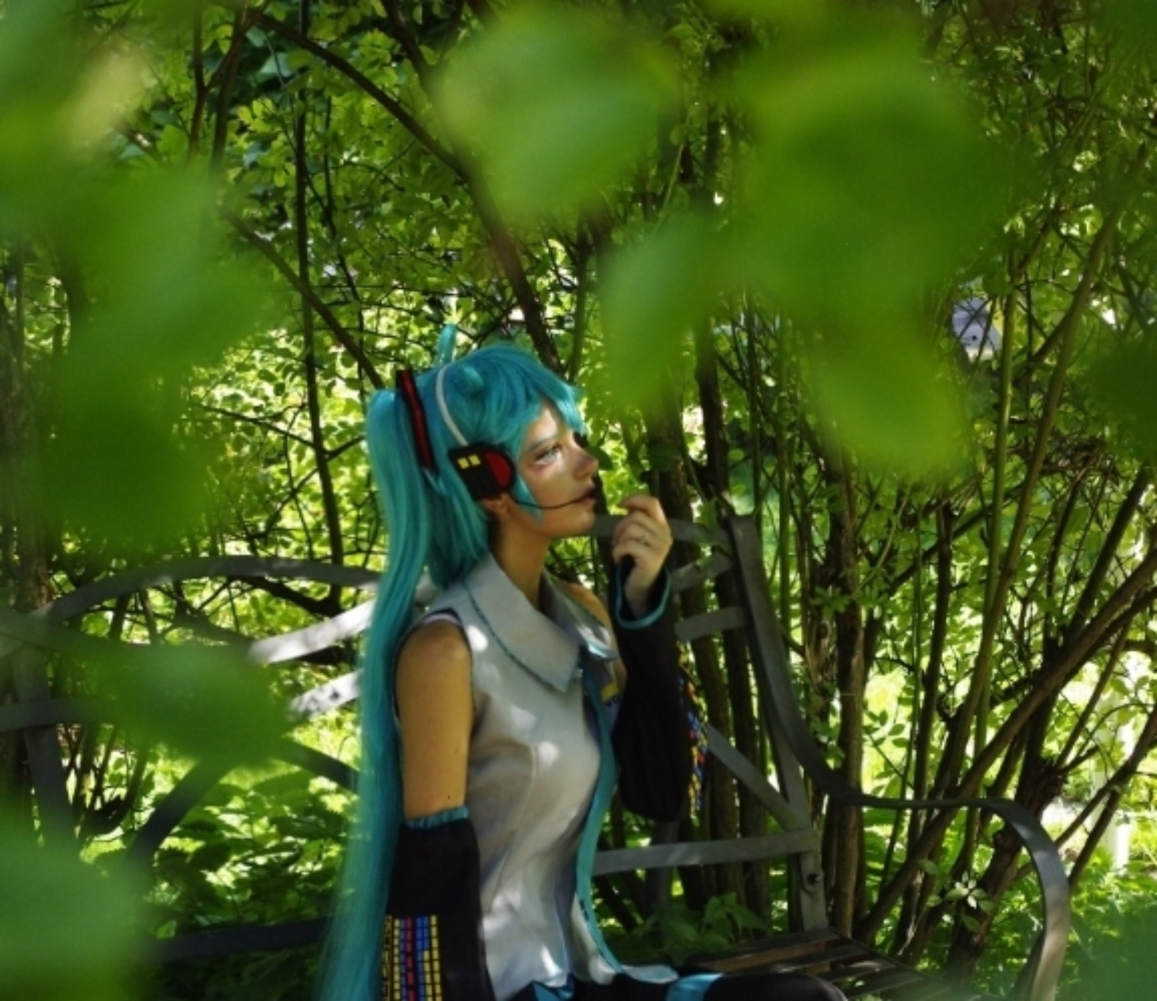Miku — photo 13