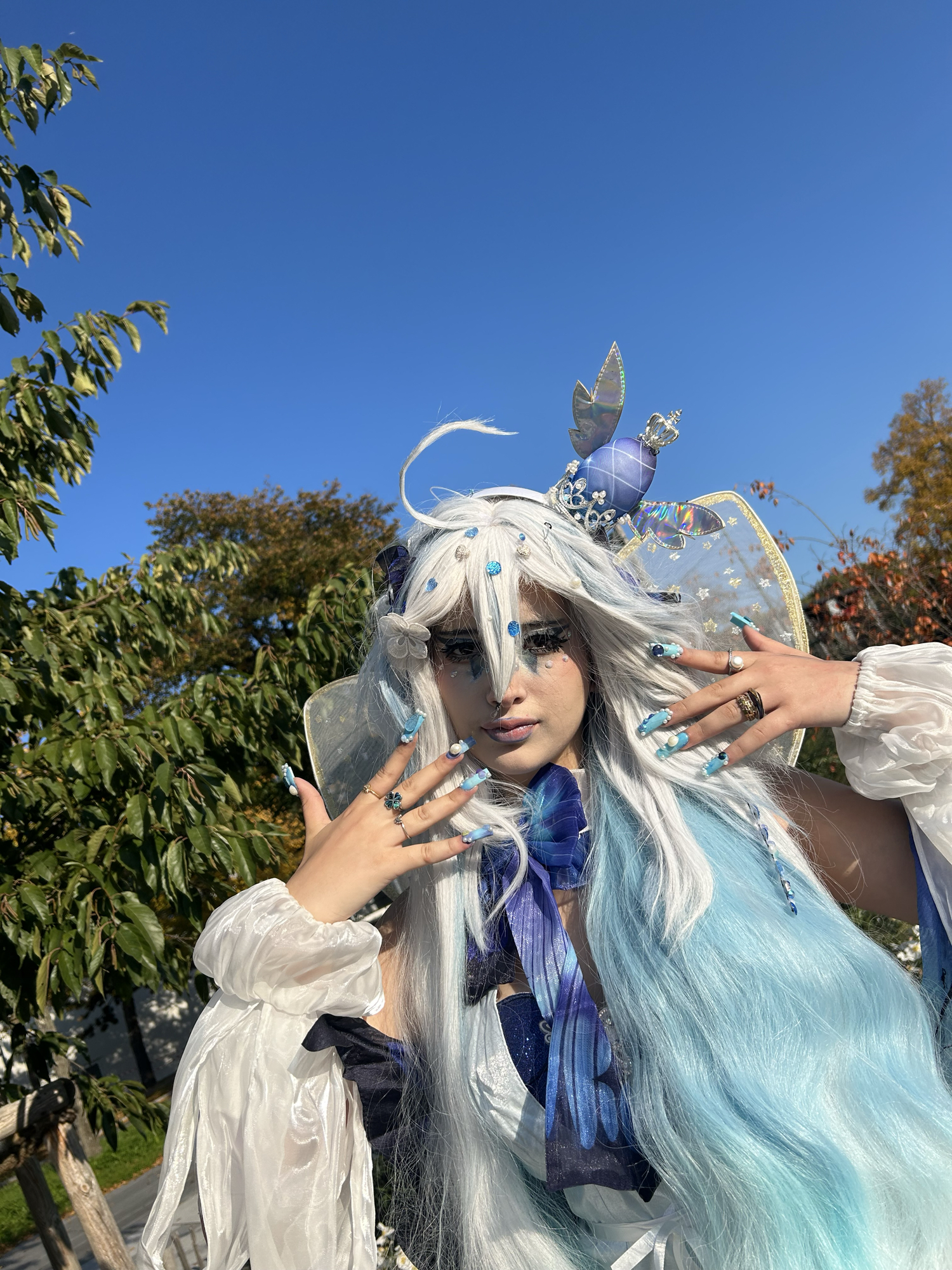 Miku butterfly  - Photo 1