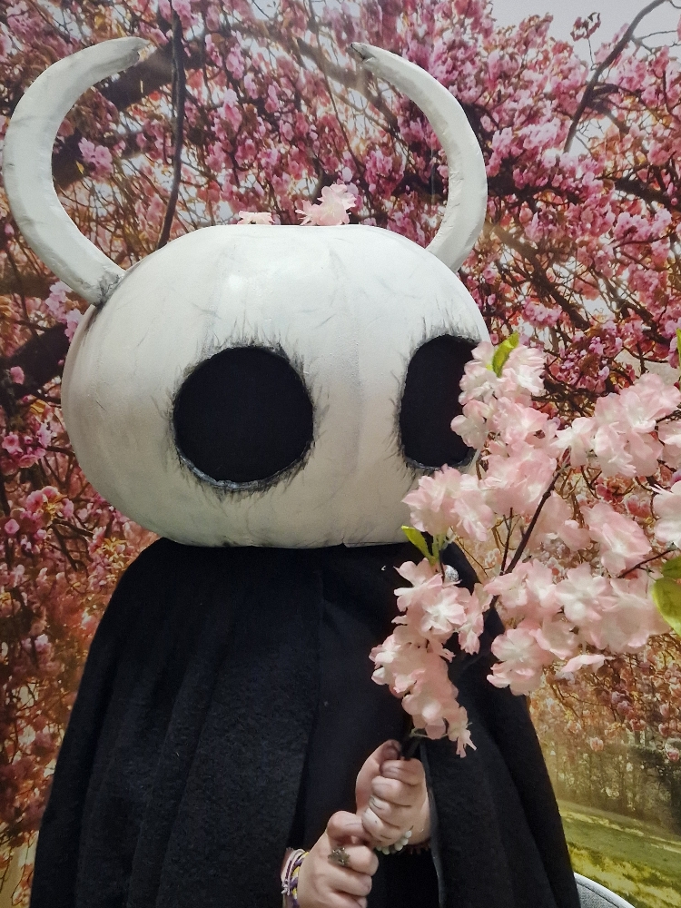 Hollow knight  - Photo 2