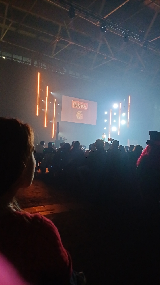 convention~ — photo 39