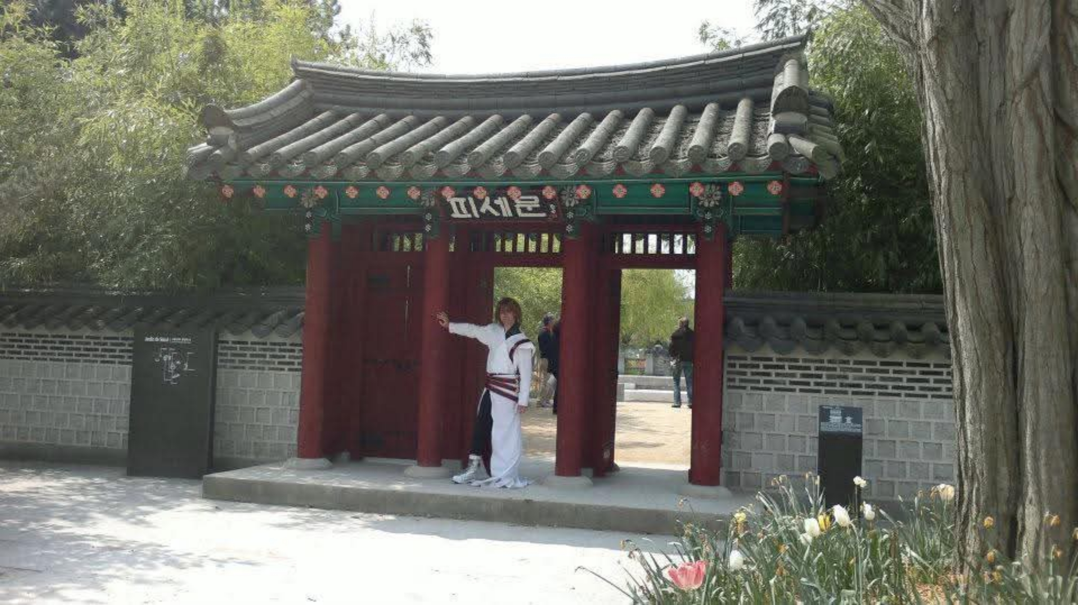 Shaolan li — photo 7