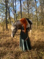 Merida preview 3