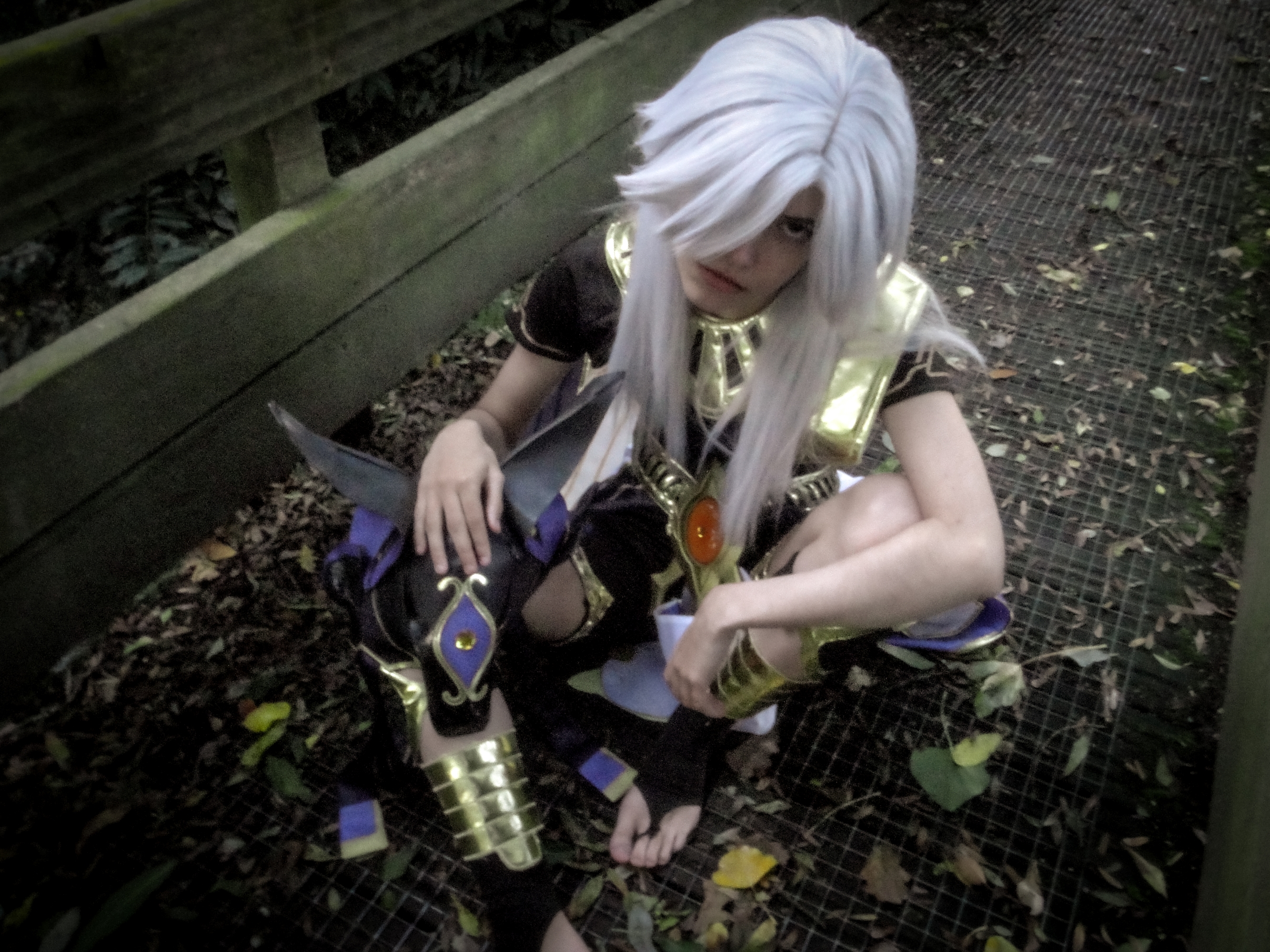 Cyno — photo 10