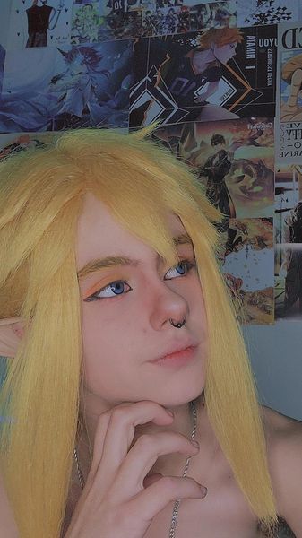 Willy_le_kiwi - Link