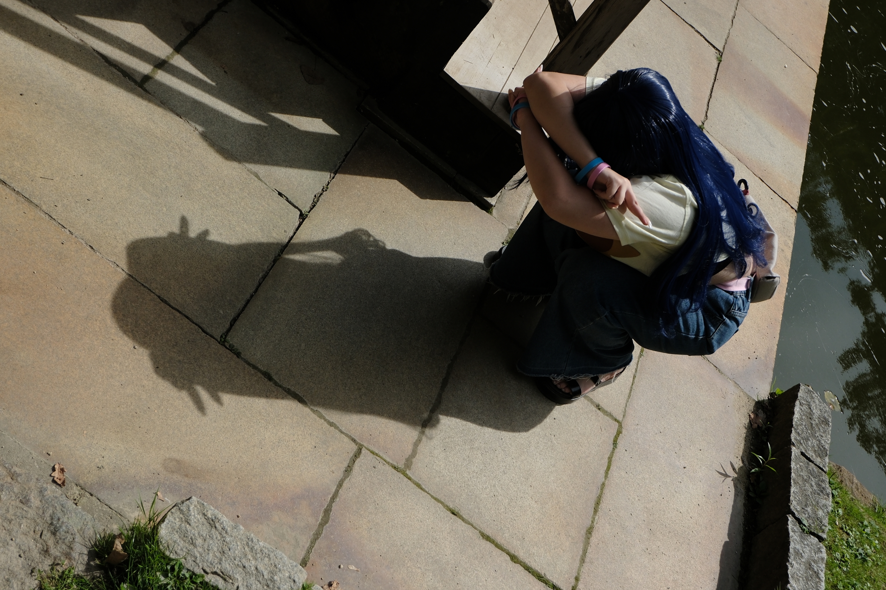 Himawari  - Photo 13