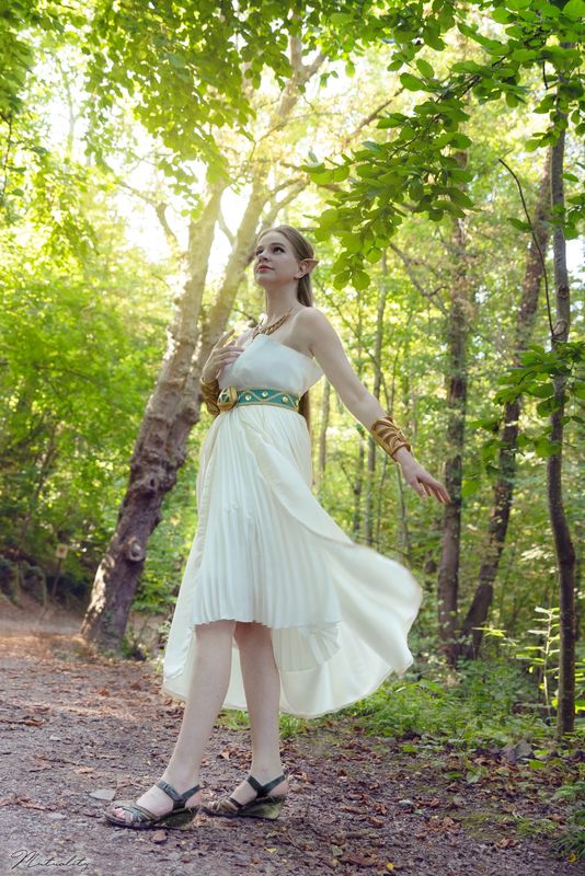 Dyantre – Zelda BOTW 1