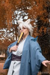 Tomoe modern preview 3