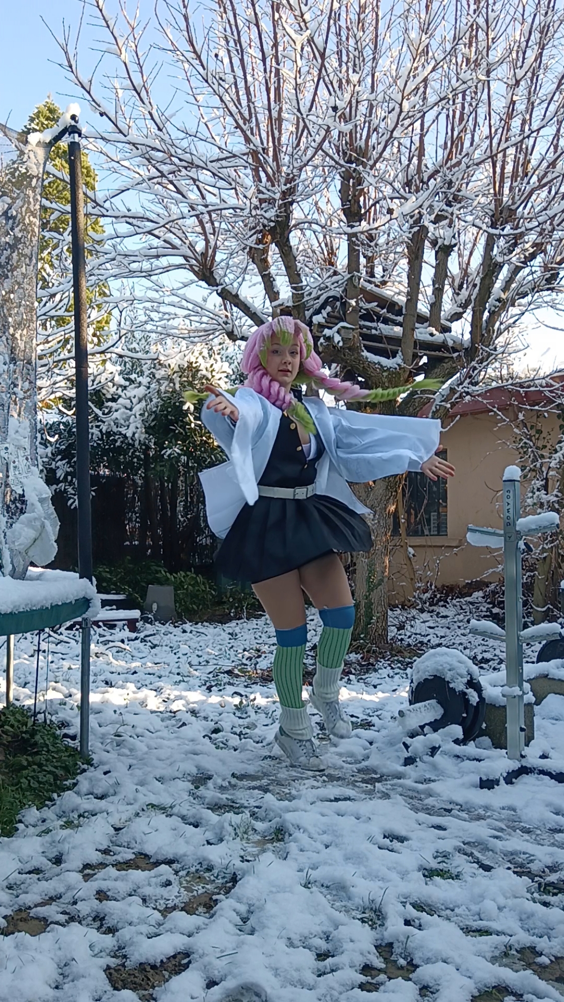 Mitsuri Kanroji — photo 34